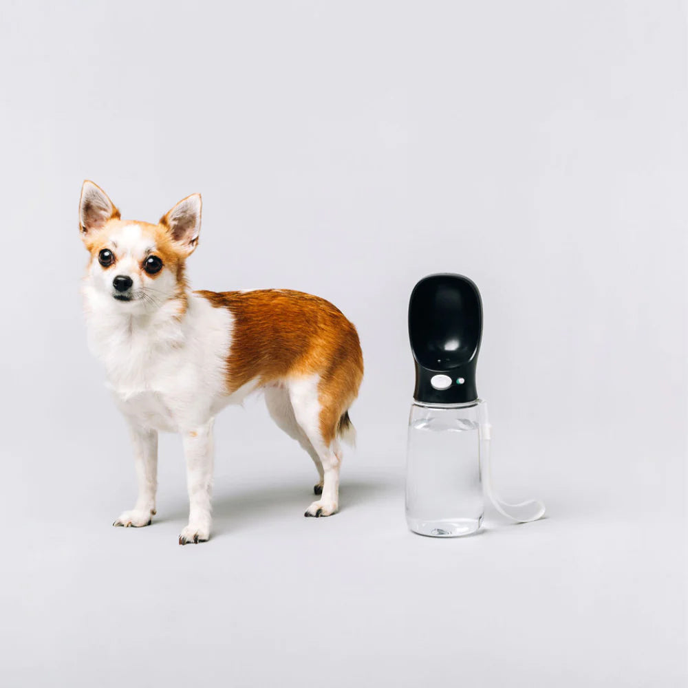 A small, fluffy dog stands beside a portable water bottle with a bowl attachment, set against a neutral background.