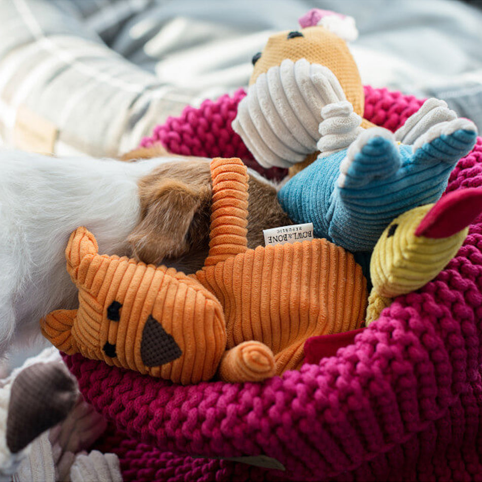 A basket of colourful plush animal dog toys with a white and brown dog's head rummaging inside a cerise pink basket.