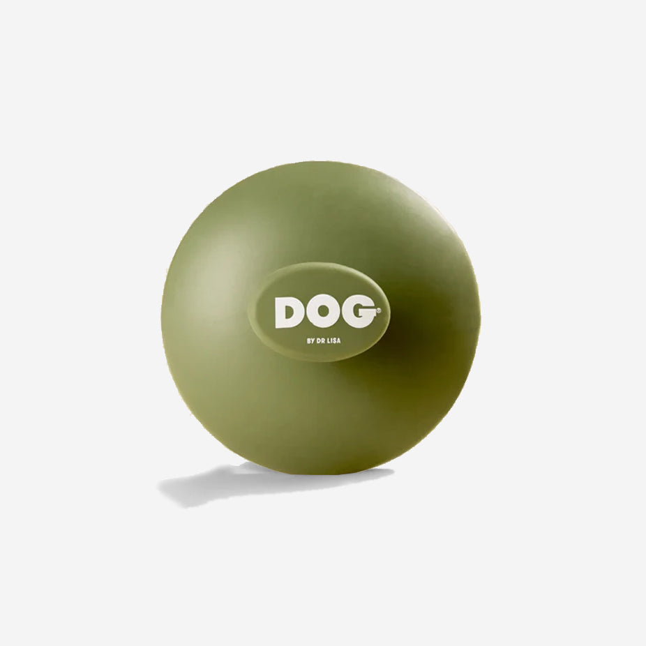 Olive green rubber dog brush with "DOG by DR Lisa" logo, on a light background.