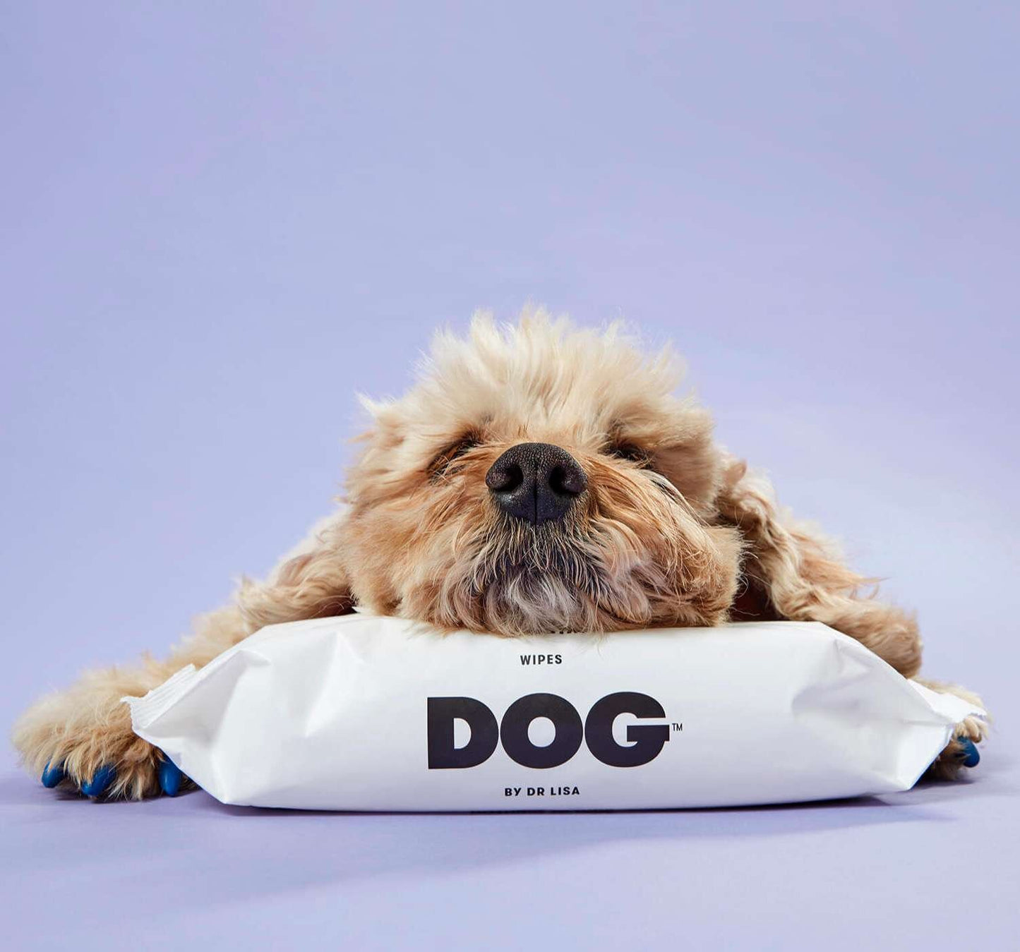 A fluffy dog resting its head on a pack of dog wipes against a purple background.