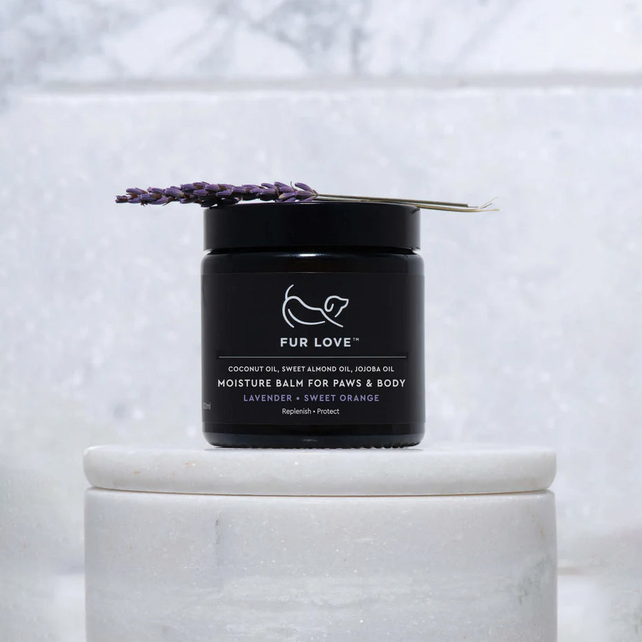 Jar of "Fur Love" paw and body balm with lavender on a white surface, snowy backdrop.