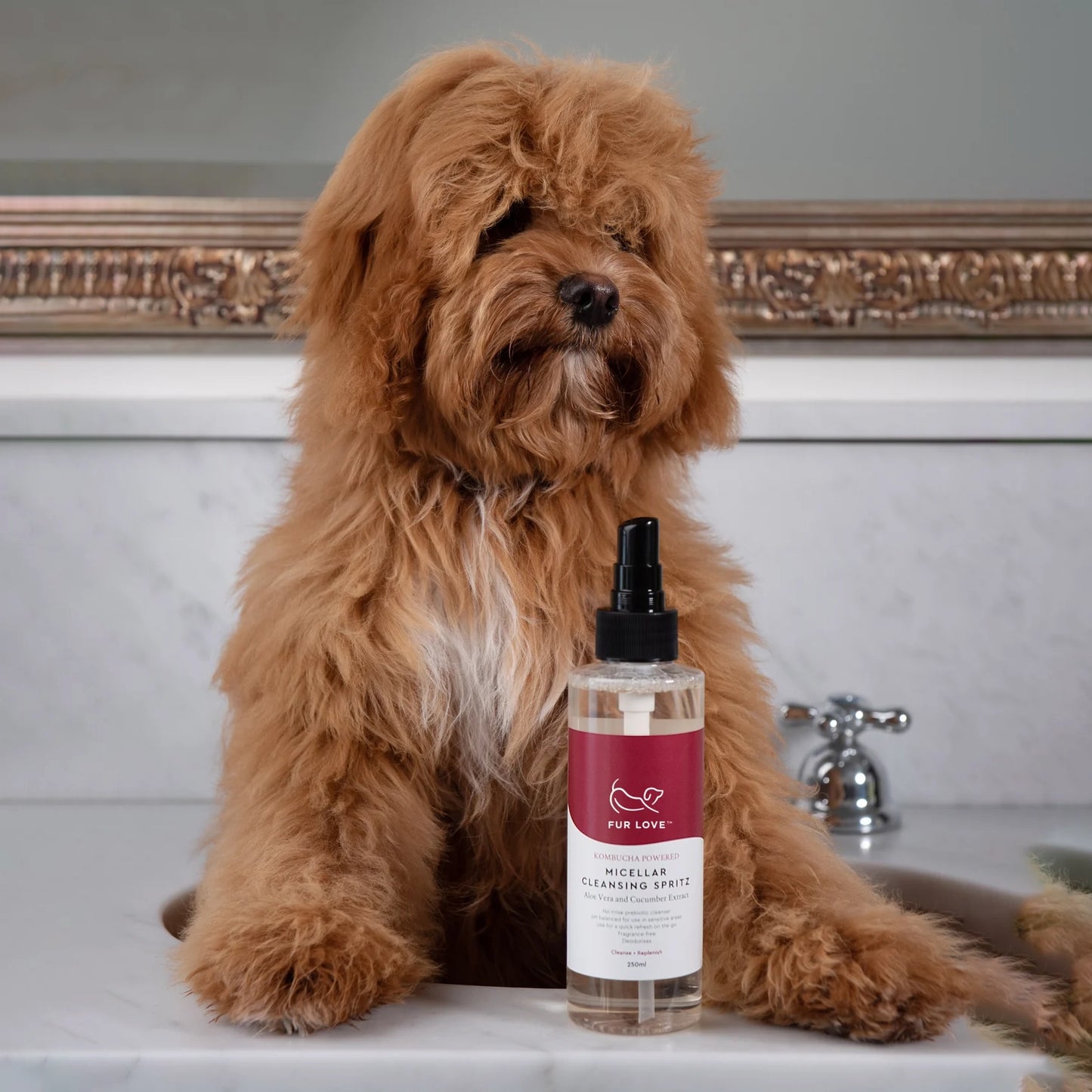 A fluffy brown dog seated beside a bottle of pet cleansing spray.