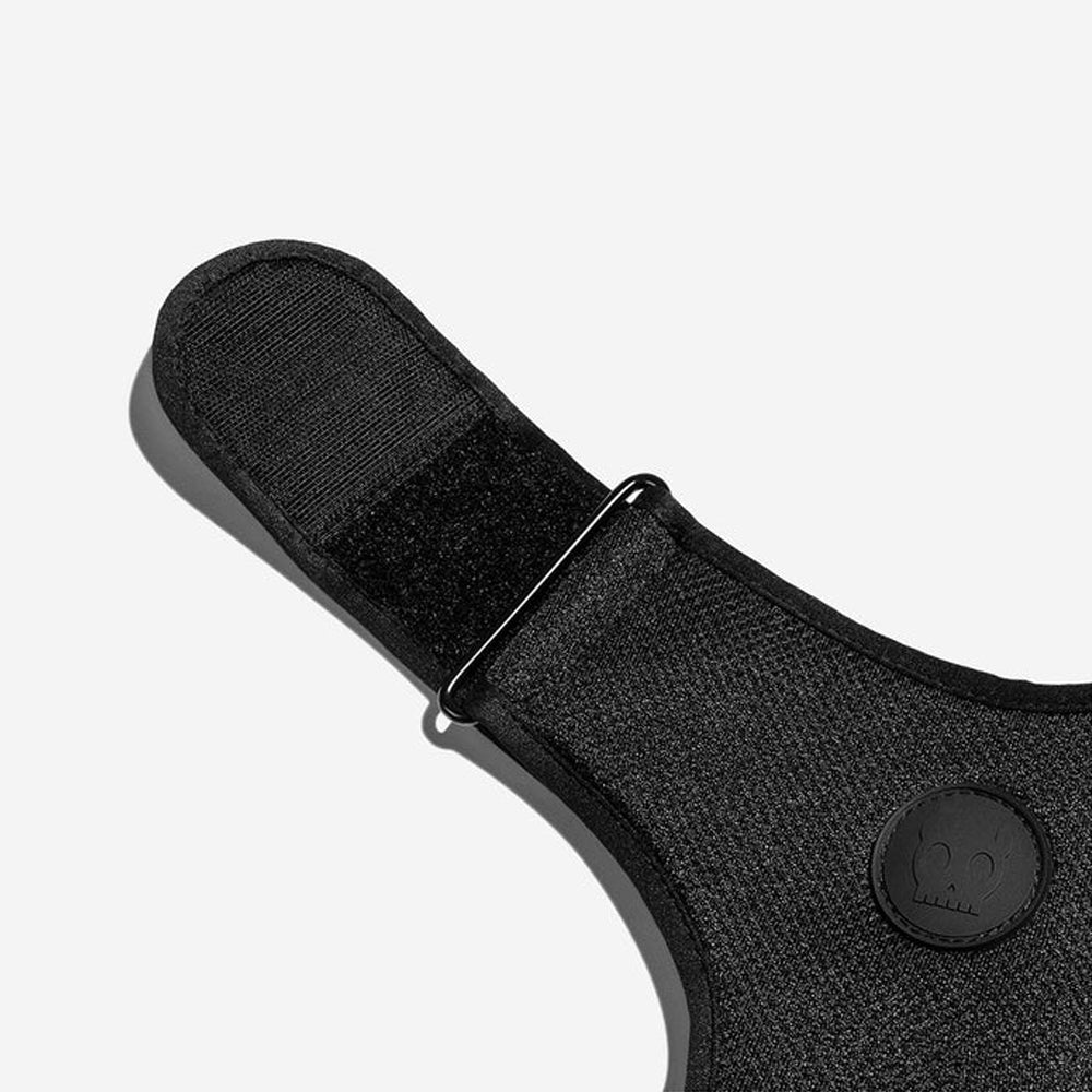 Close-up of a black dog harness with brand "zeedog" on a rubber emblem.