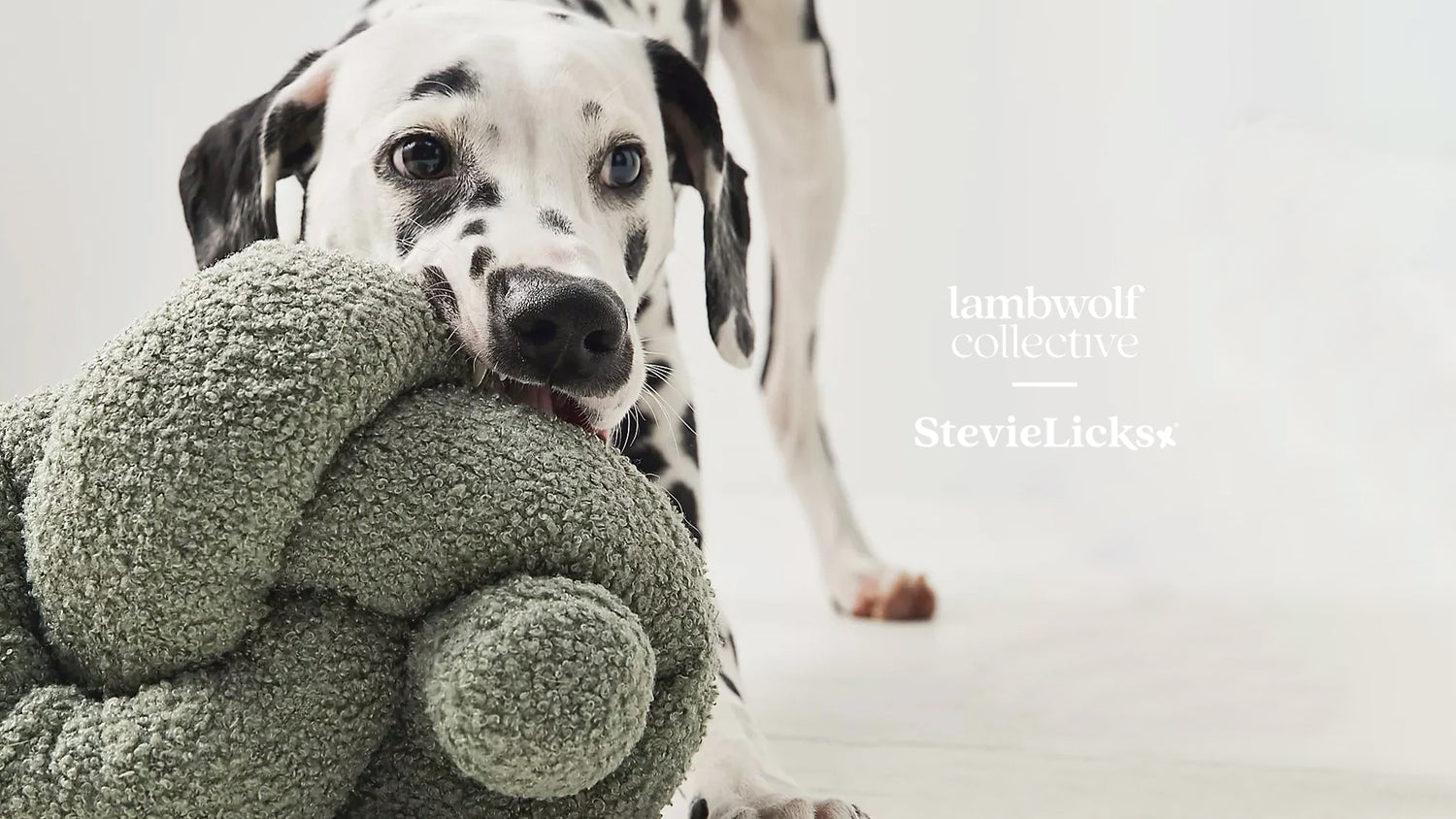 Dalmatian dog biting a green plush toy with "lambwolf collective - StevieLicks" written on the side.