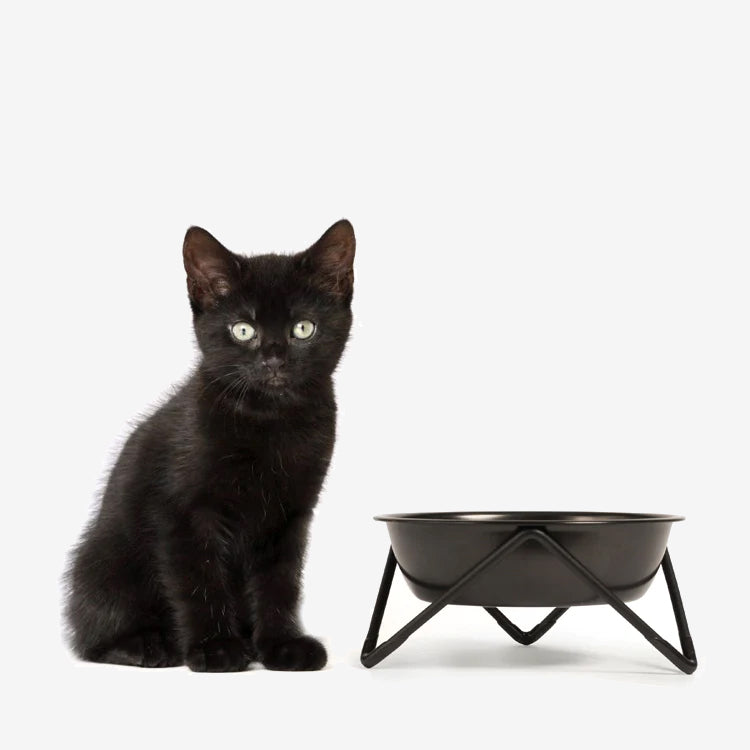 A black kitten sits next to an modern pet bowl on minimalist black stand against white background.