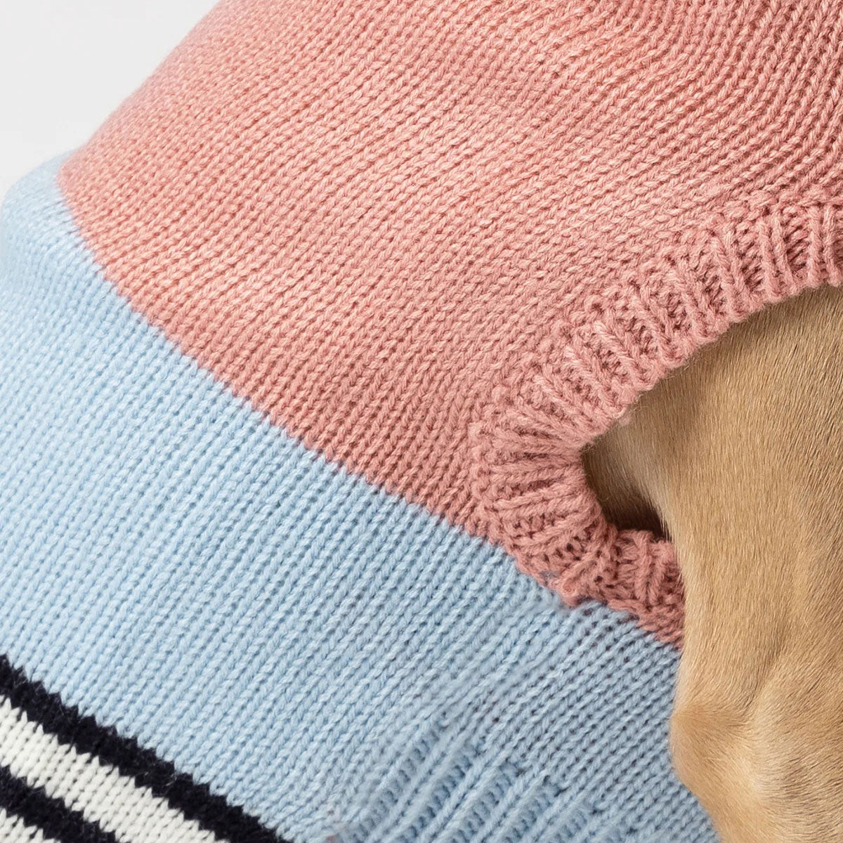 Close-up of a dog's paw poking through a hole in a pastel, pink and blue and dark blue striped knitted fabric.