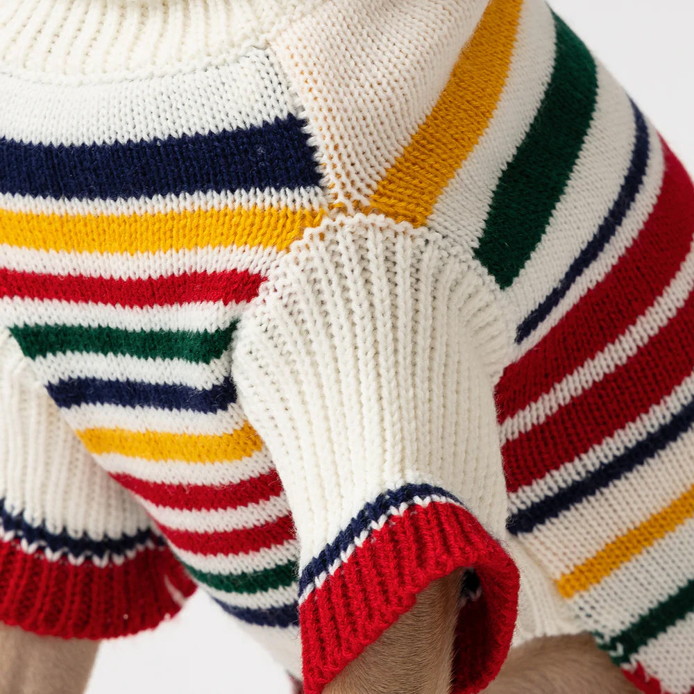 A close-up of a cozy dog sweater featuring bold, colourful stripes in red, green, yellow, and navy against a white background.