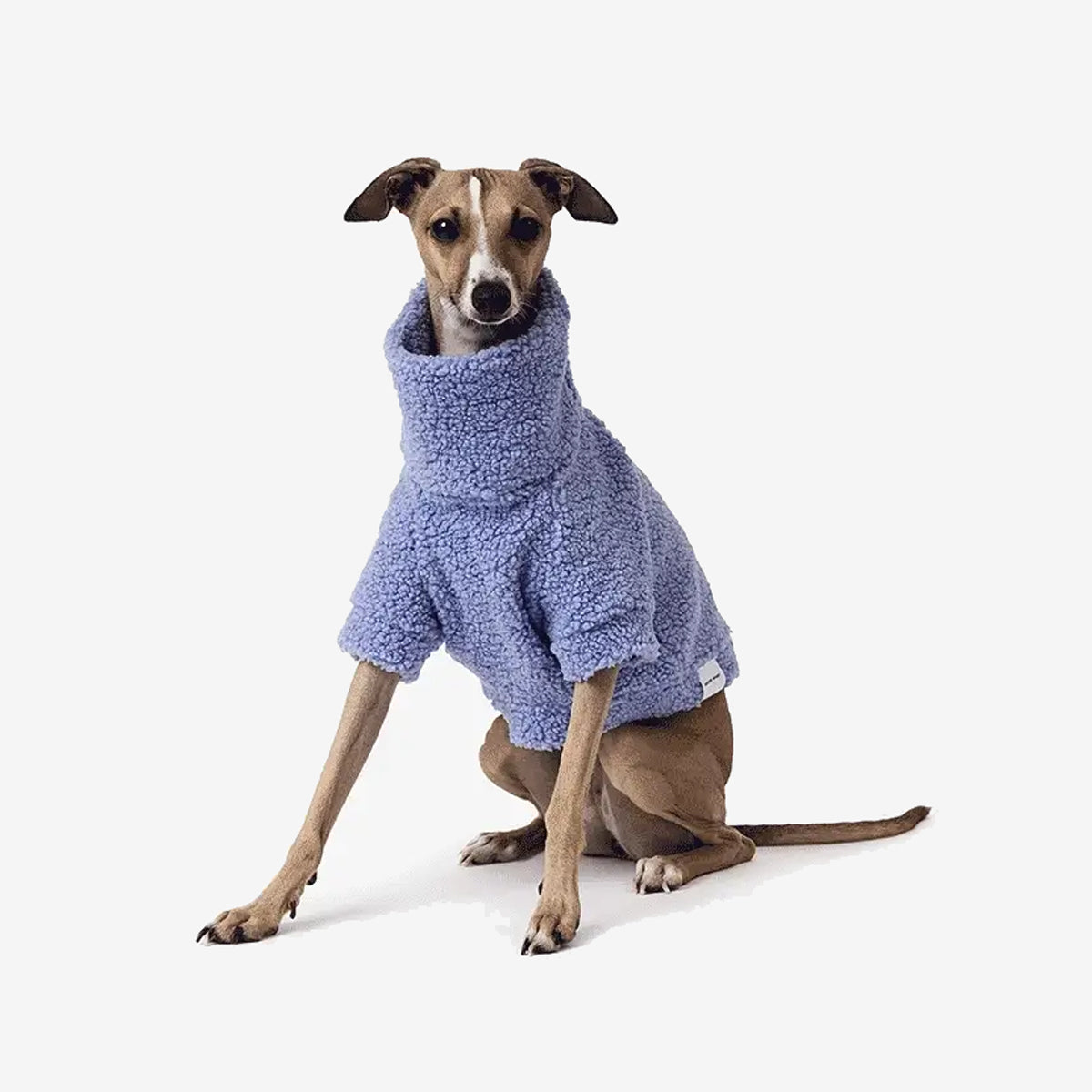 A stylish dog wearing a soft, light purple fleece sweater sits attentively, showcasing its cozy outfit against a white background.
