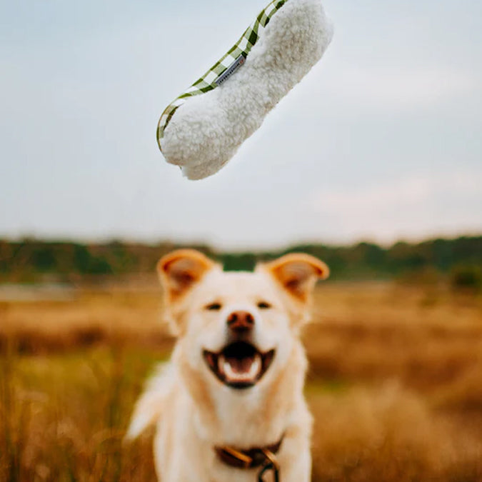 A happy dog looking up at a flying plush toy in an open field.
