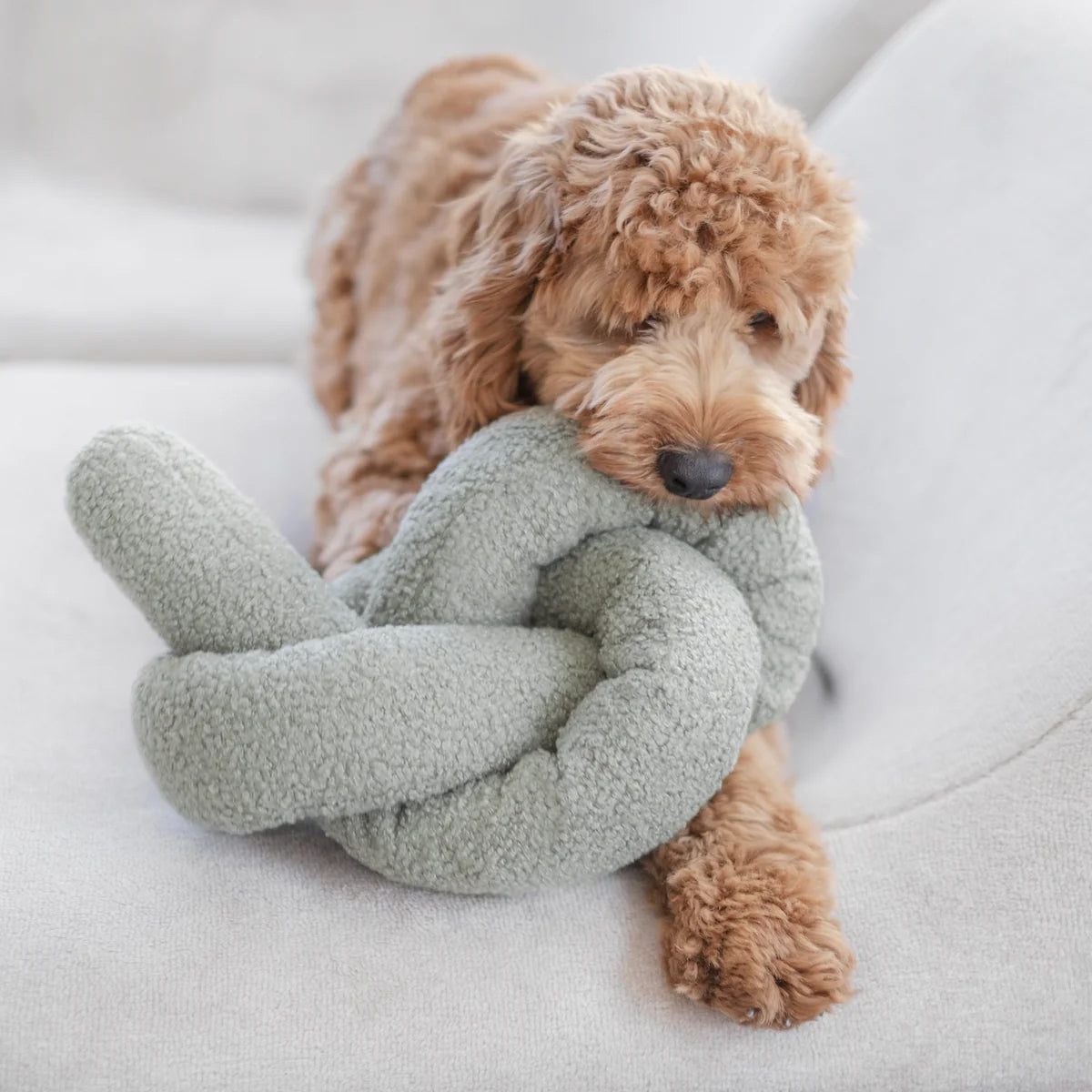 A fluffy brown dog rests on a couch, playfully chewing on a soft, twisted green plush toy.