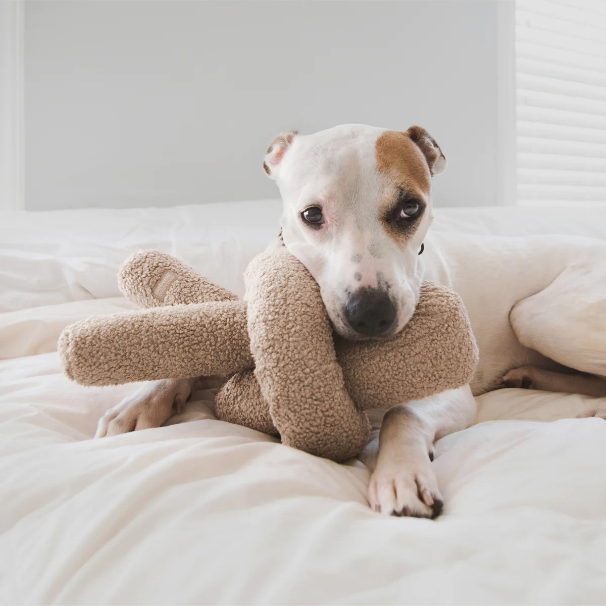 A cozy dog lies on a plush white bed, cuddling a soft, beige toy with its paws and relaxing peacefully in a bright room.