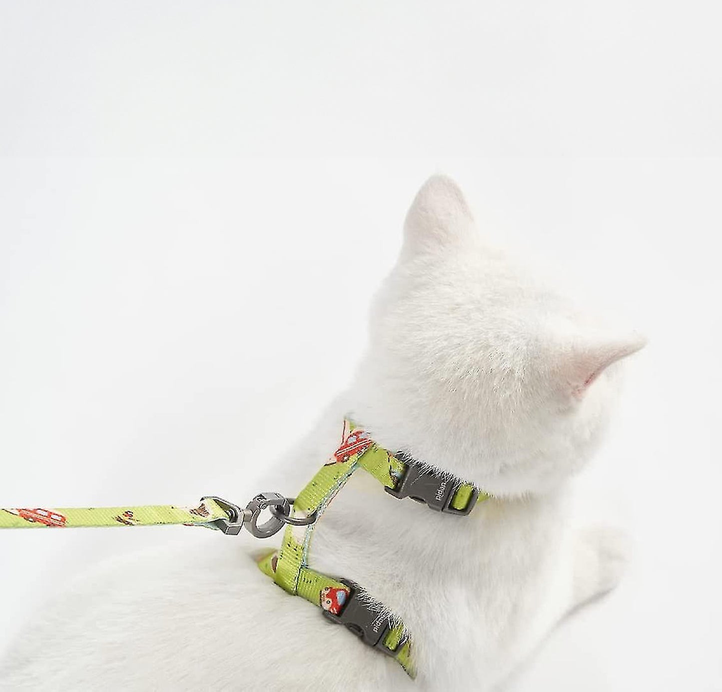A white cat with a colourful lime green harness, looking away on a white background.