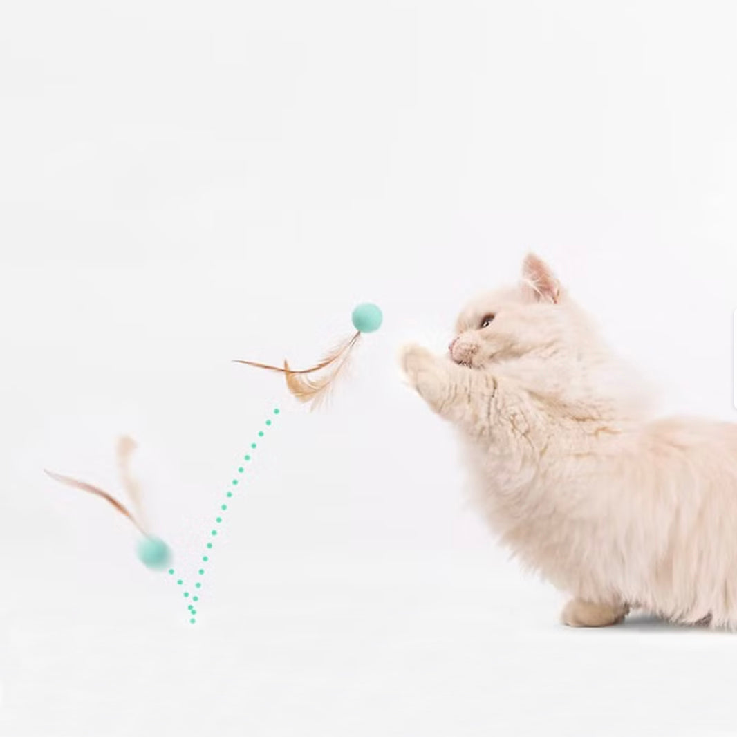 A fluffy white cat swats at a feather toy on a white background.