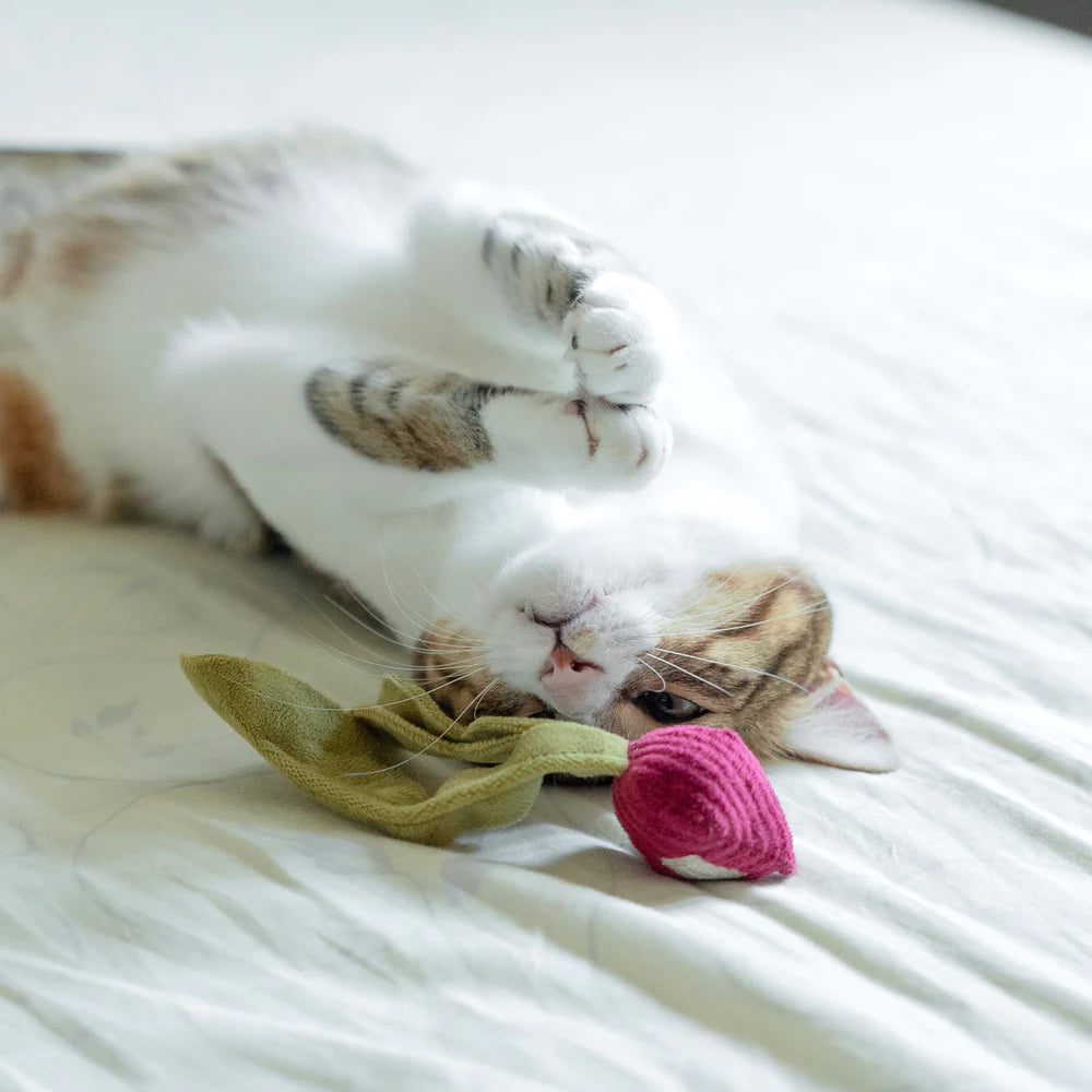 A playful cat lies on its back, surrounded by a green leaf and a pink toy, displaying a relaxed and curious expression.