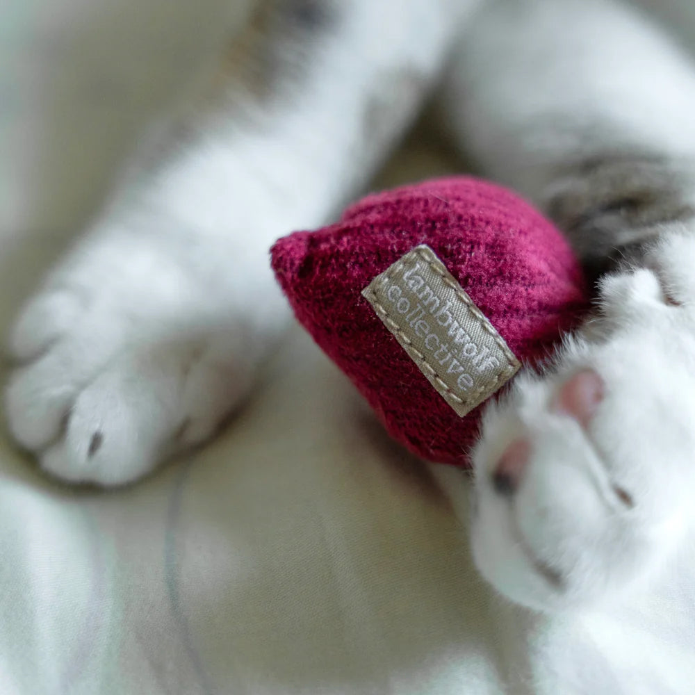 Close-up of a cat's paw resting beside a small burgundy toy with a label reading "lambwolf collective". Soft colours and textures are visible.