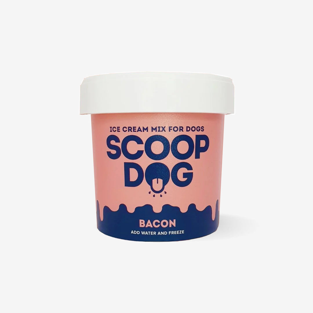A container of "Scoop Dog" bacon-flavoured ice cream mix for dogs against a white background.