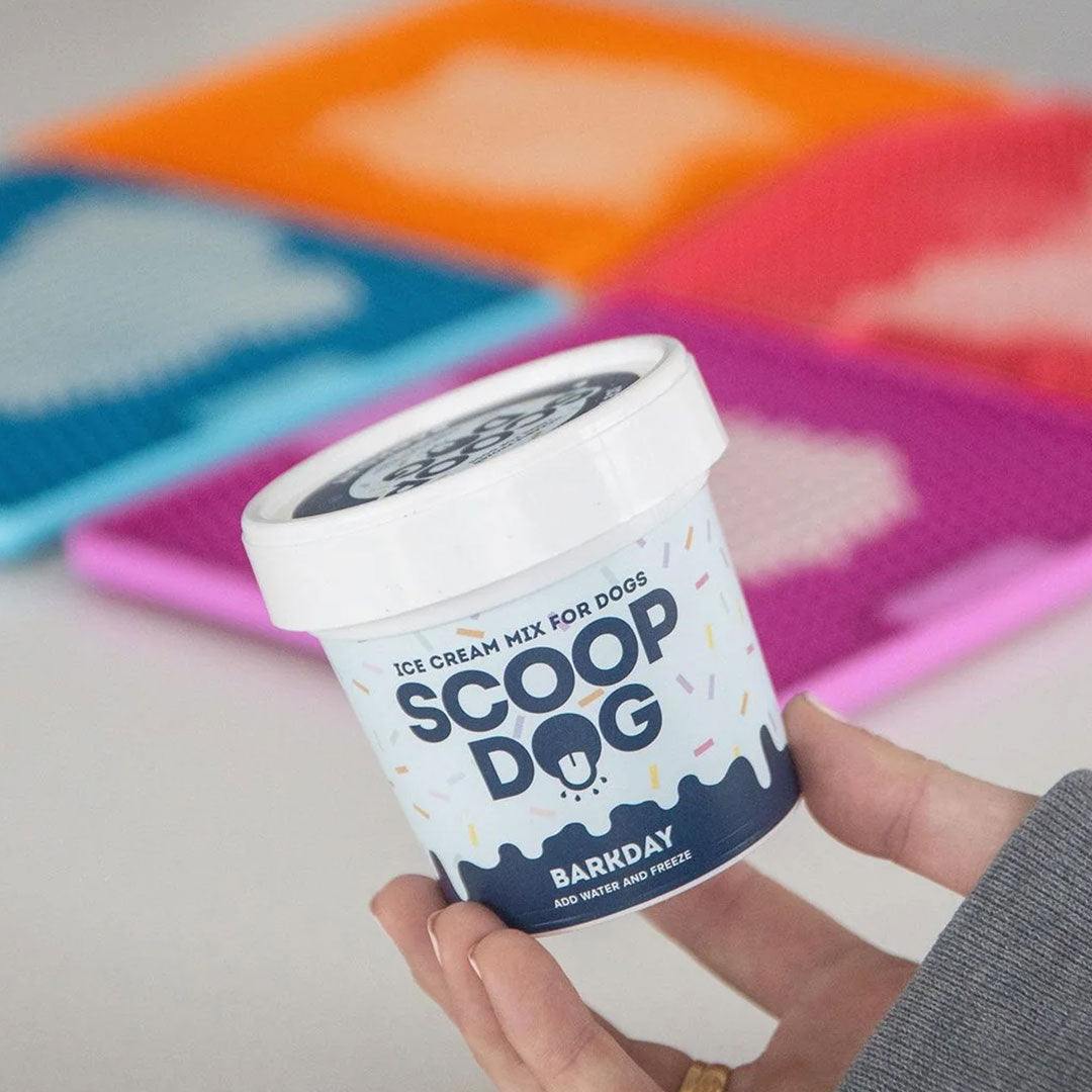 Hands holding a container of "Scoop Dog" ice cream mix for dogs with colourful mats in the background.