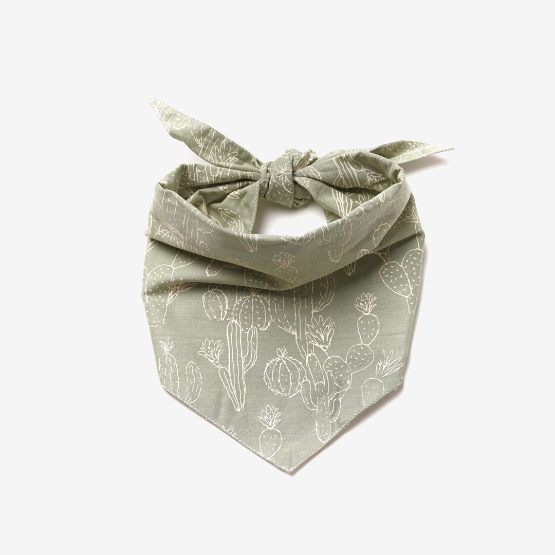 A sage green dog bandana with cactus print tied in a knot, isolated on white background.