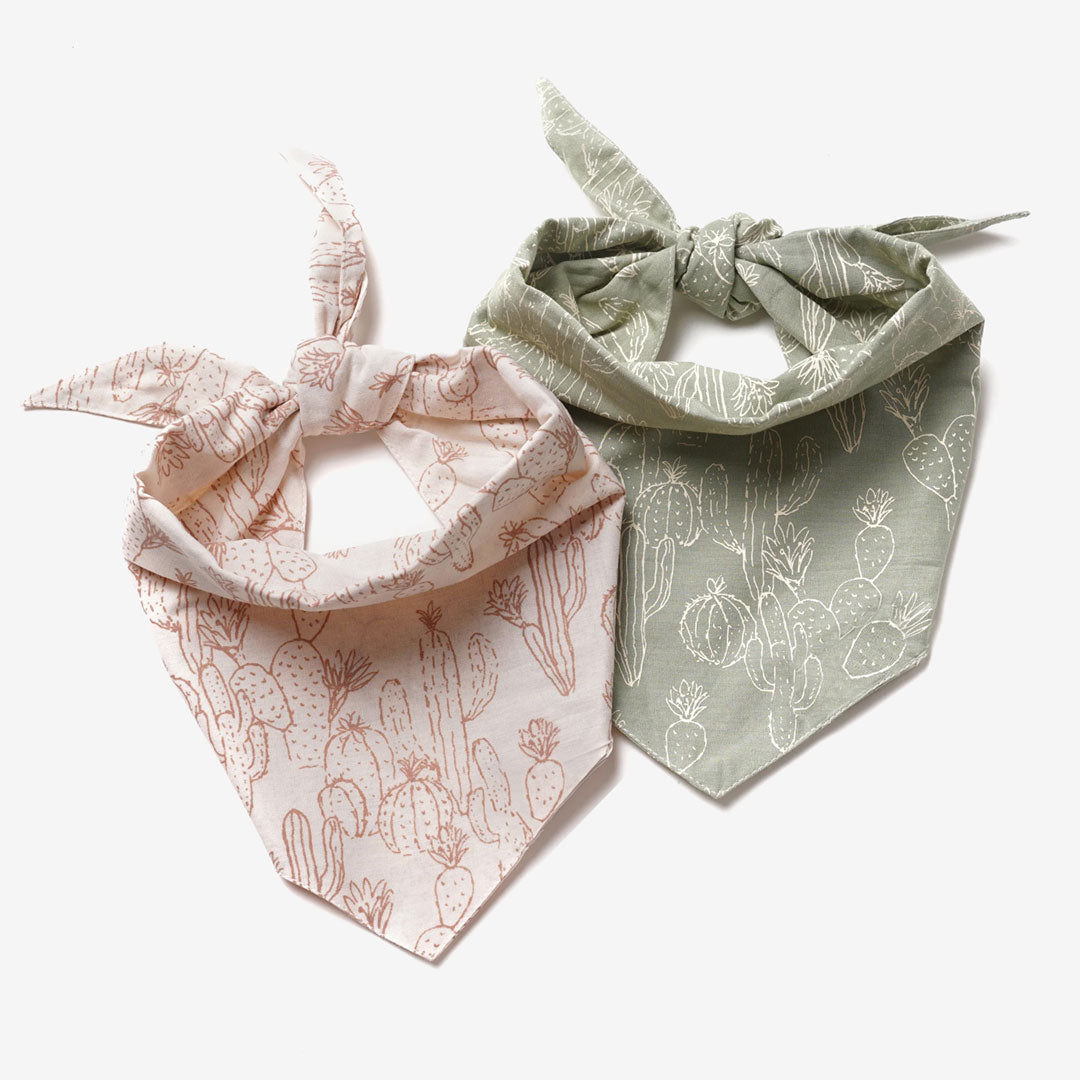 Two dog bandanas with cactus prints tied in knots, one pink and one green, on a white background.