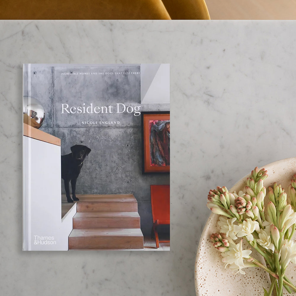 A book titled "Resident Dog" by Nicole England sits on a marble table, featuring a black dog on the cover. Flowers are beside it.