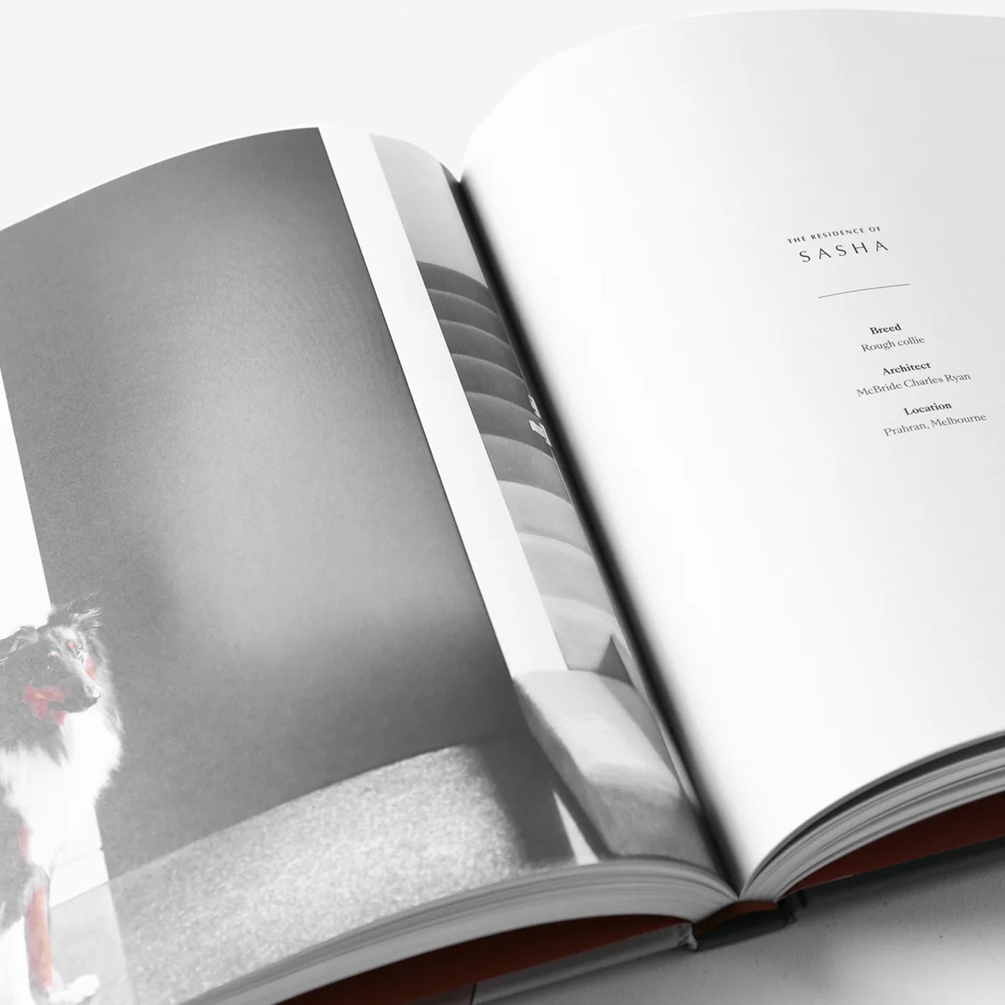 Open book showcasing a black-and-white photo of a Rough Collie titled "The Residence of Sasha," featuring architectural details.