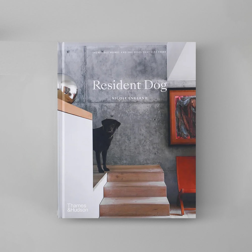 Book cover titled "Resident Dog" by Nicole England, featuring a black dog on stairs in a modern, minimalist interior.