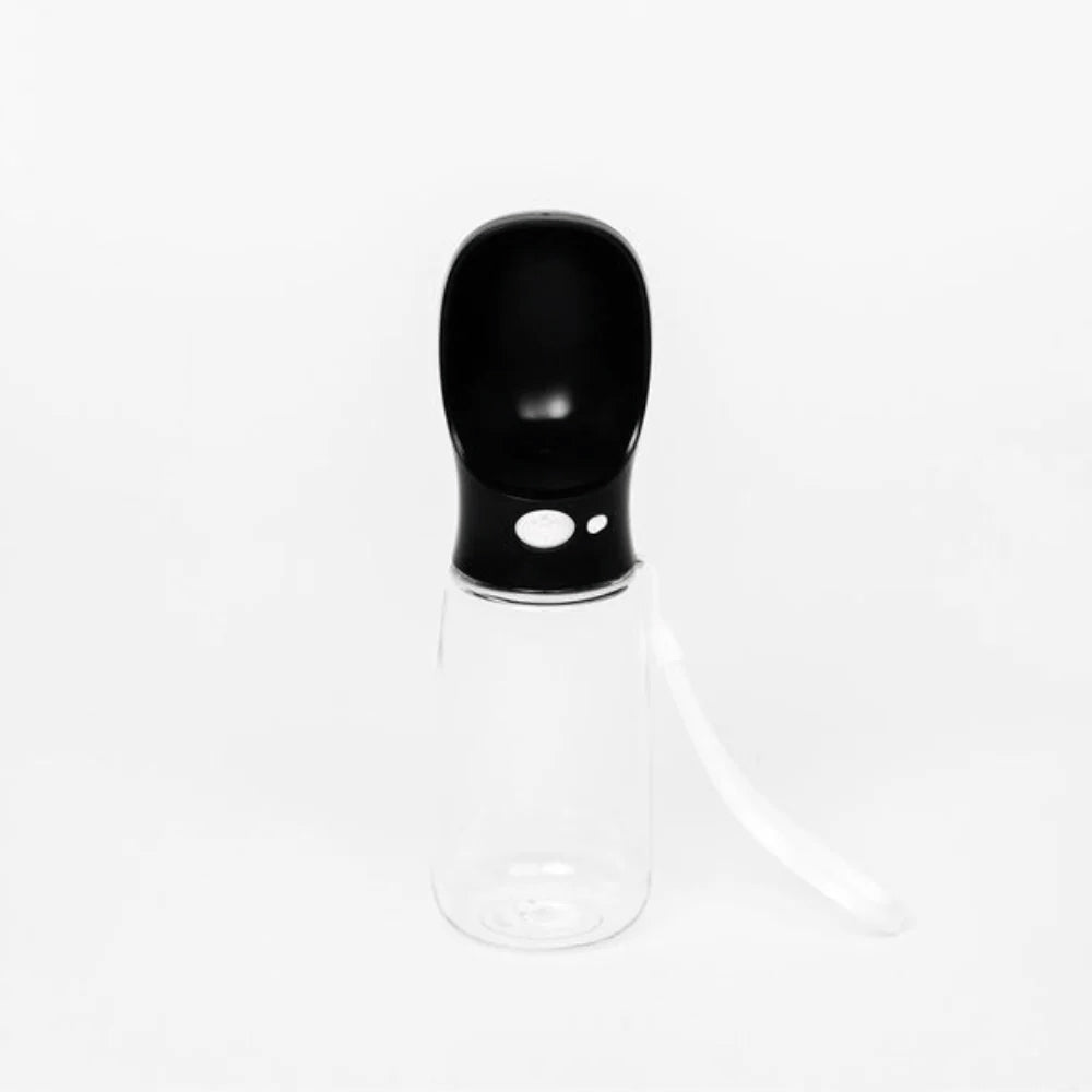 A clear spray bottle with a black nozzle and a white trigger, set against a simple white background.