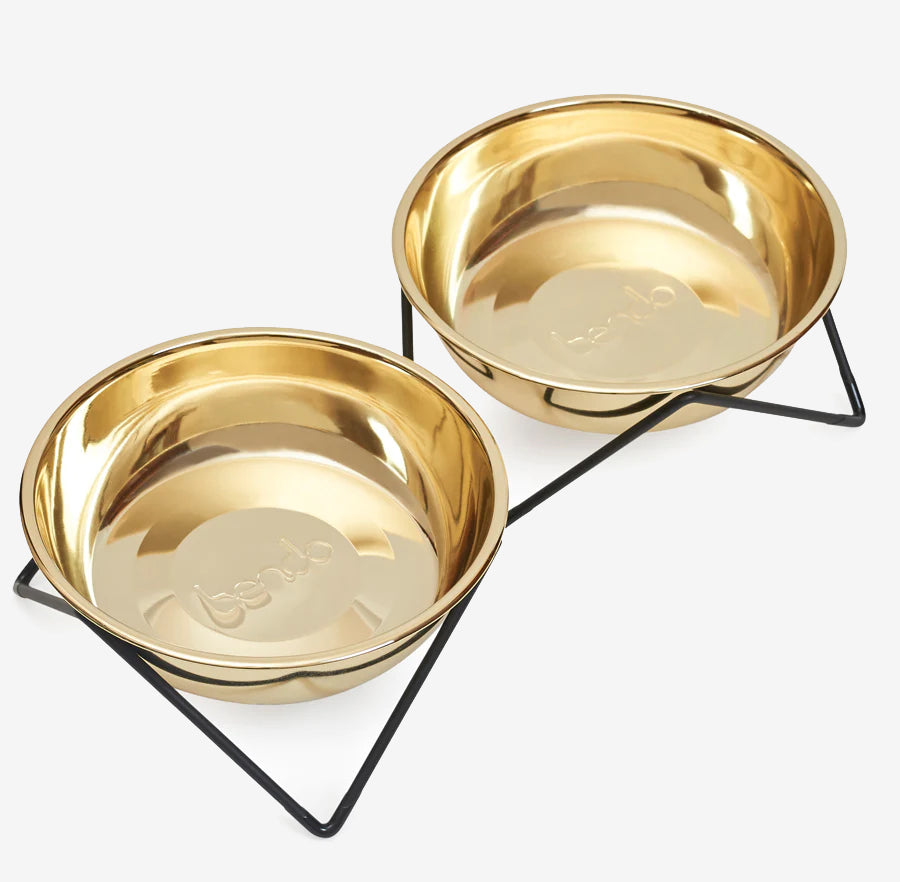 Two golden pet bowls on black metal stand against a white background.