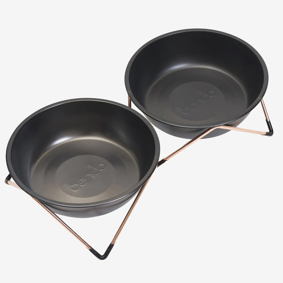 Two black stainless steel pet bowls on a copper stand against a white background.
