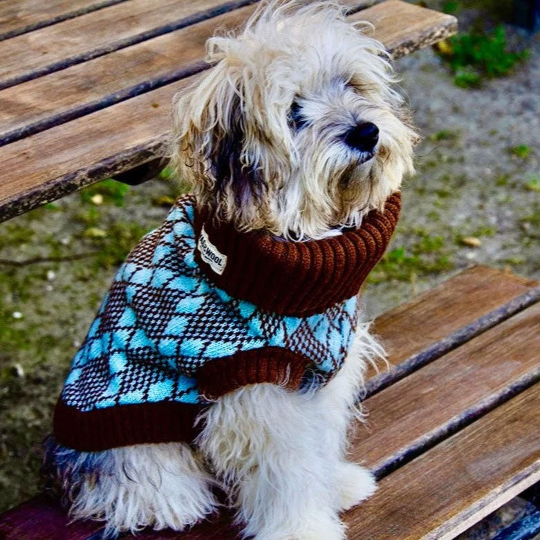 A fluffy dog in a sweater sits on a wooden bench.