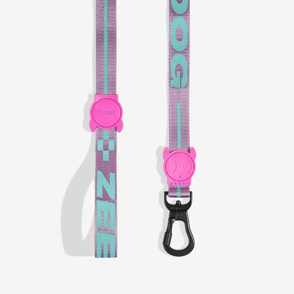 A colourful dog leash in purple and mint green, featuring a pink handle with a playful design and a black clip for secure attachment.