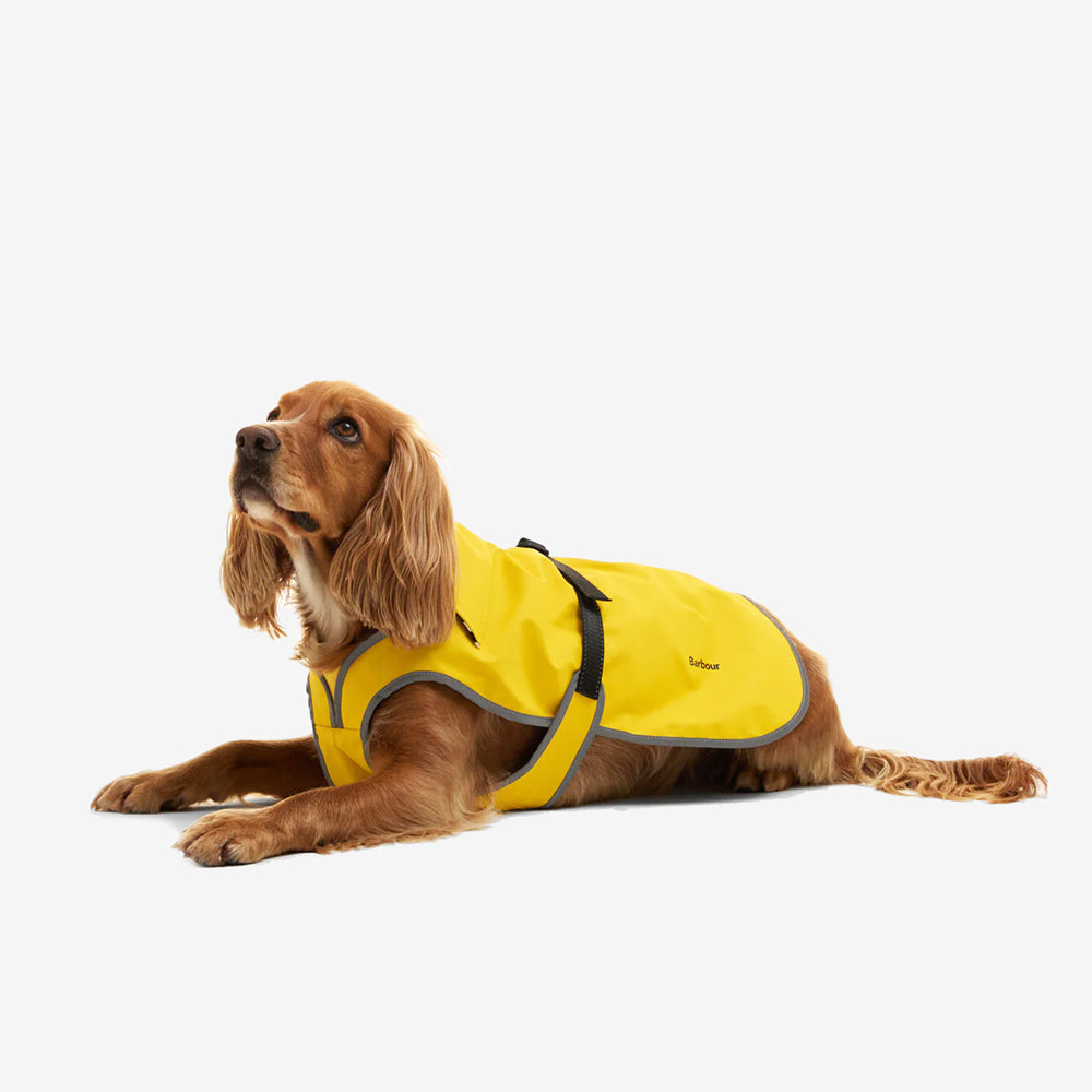 A golden cocker spaniel rests on a white background, wearing a bright yellow waterproof coat with a reflective grey trim.