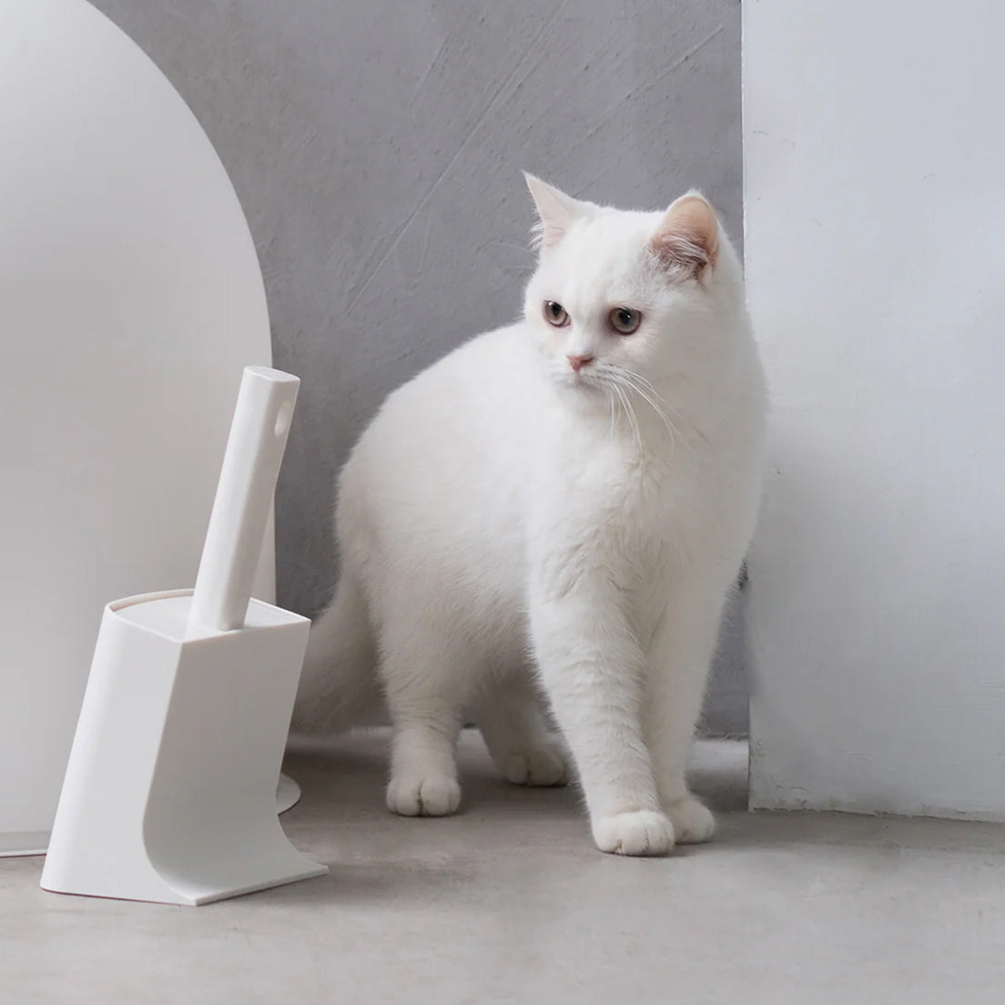 A white cat standing beside a white toilet brush holder against a minimalist background.