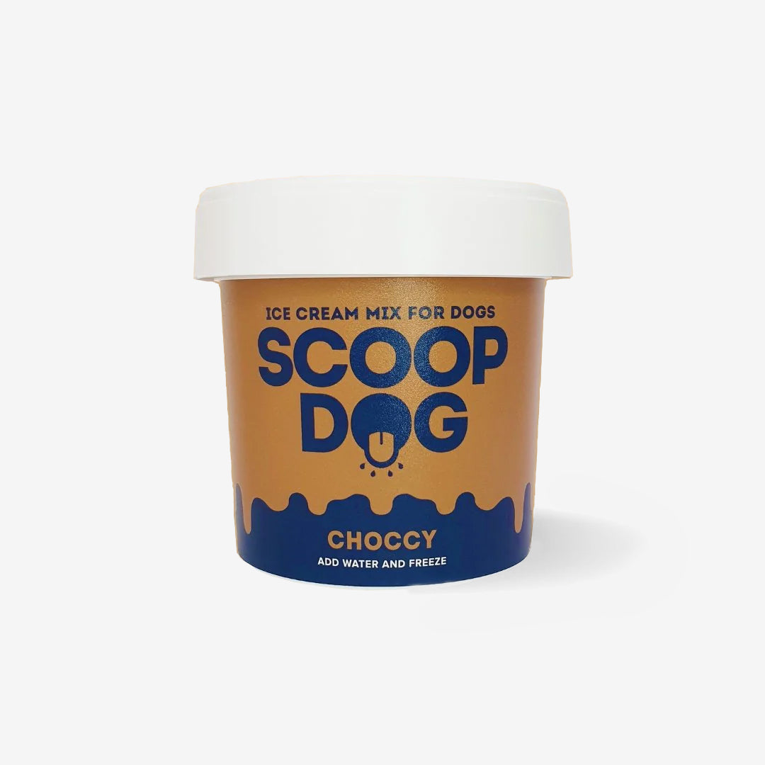 A container of "Scoop Dog" ice cream mix for dogs, labeled "Choccy," with instructions to add water and freeze.