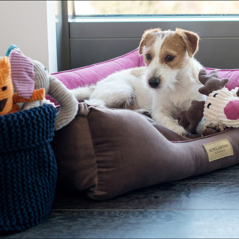 A small white and tan dog lying on a pink bed with a basket of toys nearby.