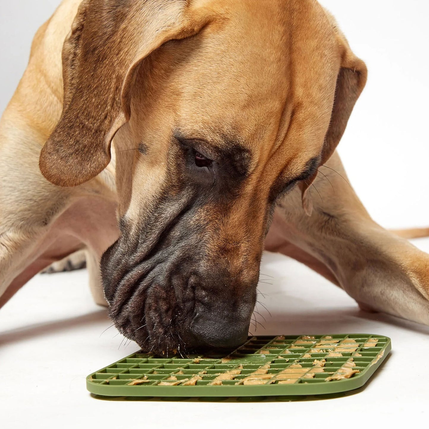 a large do licking peanut butter out of a khaki green coloured lick mat, on a white background.