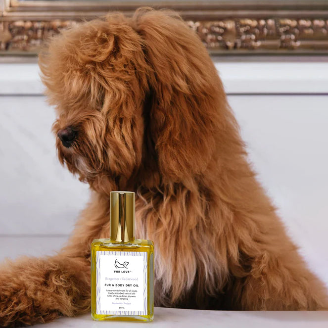 Fluffy brown dog beside a bottle of "FUR LOVE" fur and body dry oil.