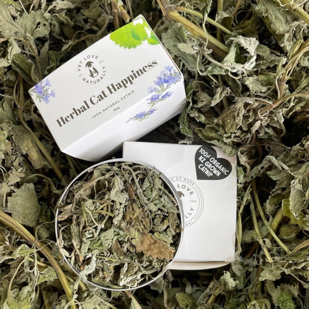 A tin and box of organic catnip amidst loose dried leaves.