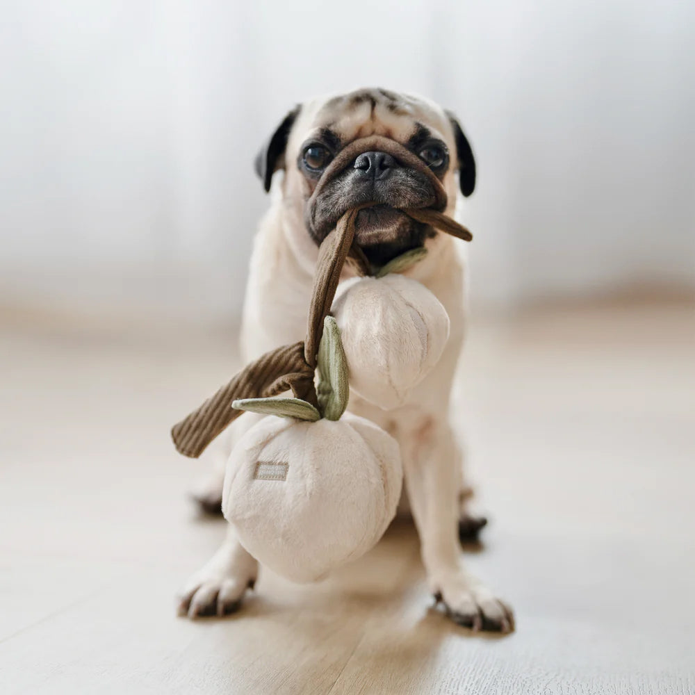 A playful pug sits on a wooden floor, holding a plush toy with two white shapes and a brown handle in its mouth.