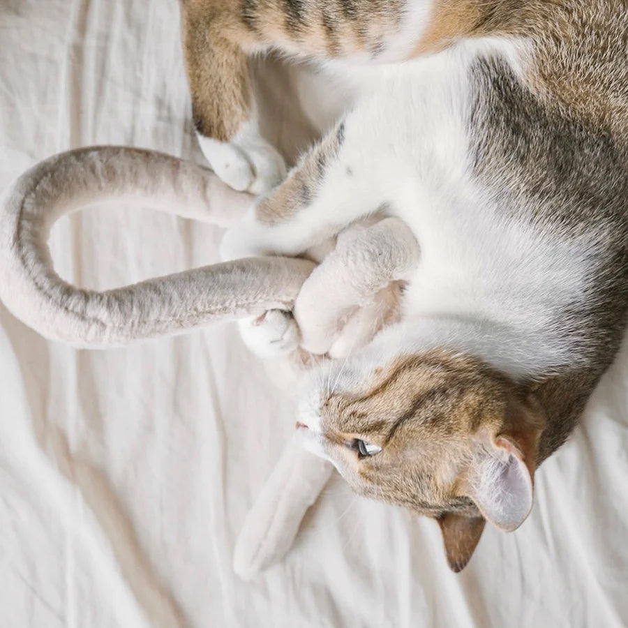 A playful tabby cat cuddles with a soft, beige plush toy on a light-coloured blanket.