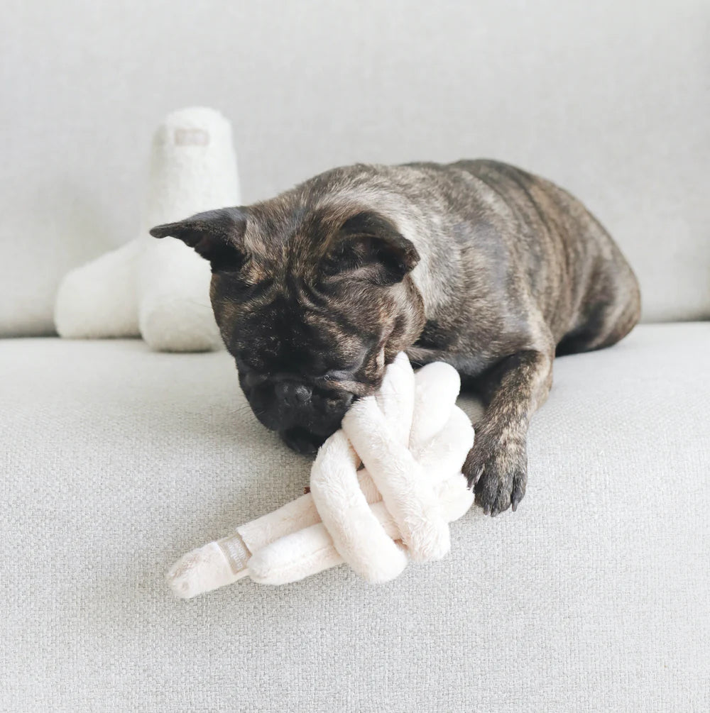 A brindle French Bulldog playfully chews on a plush toy on a light-coloured sofa, with a second toy in the background.