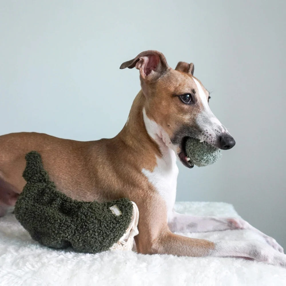 A playful greyhound lays on a soft surface, holding a green ball in its mouth, beside a fuzzy toy shaped like a dog.
