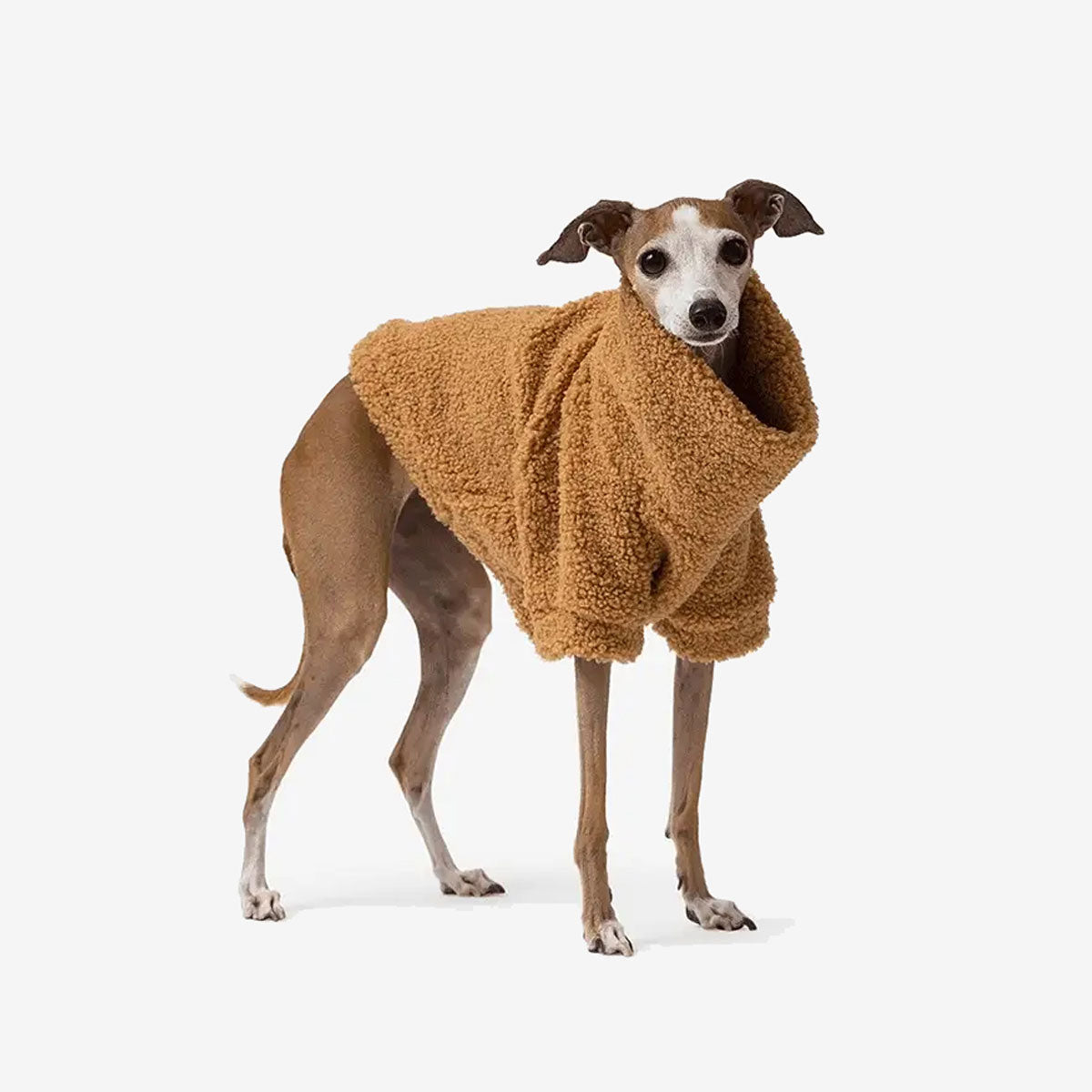 A greyhound dog wearing a cozy, fluffy brown sweater stands on a white background.