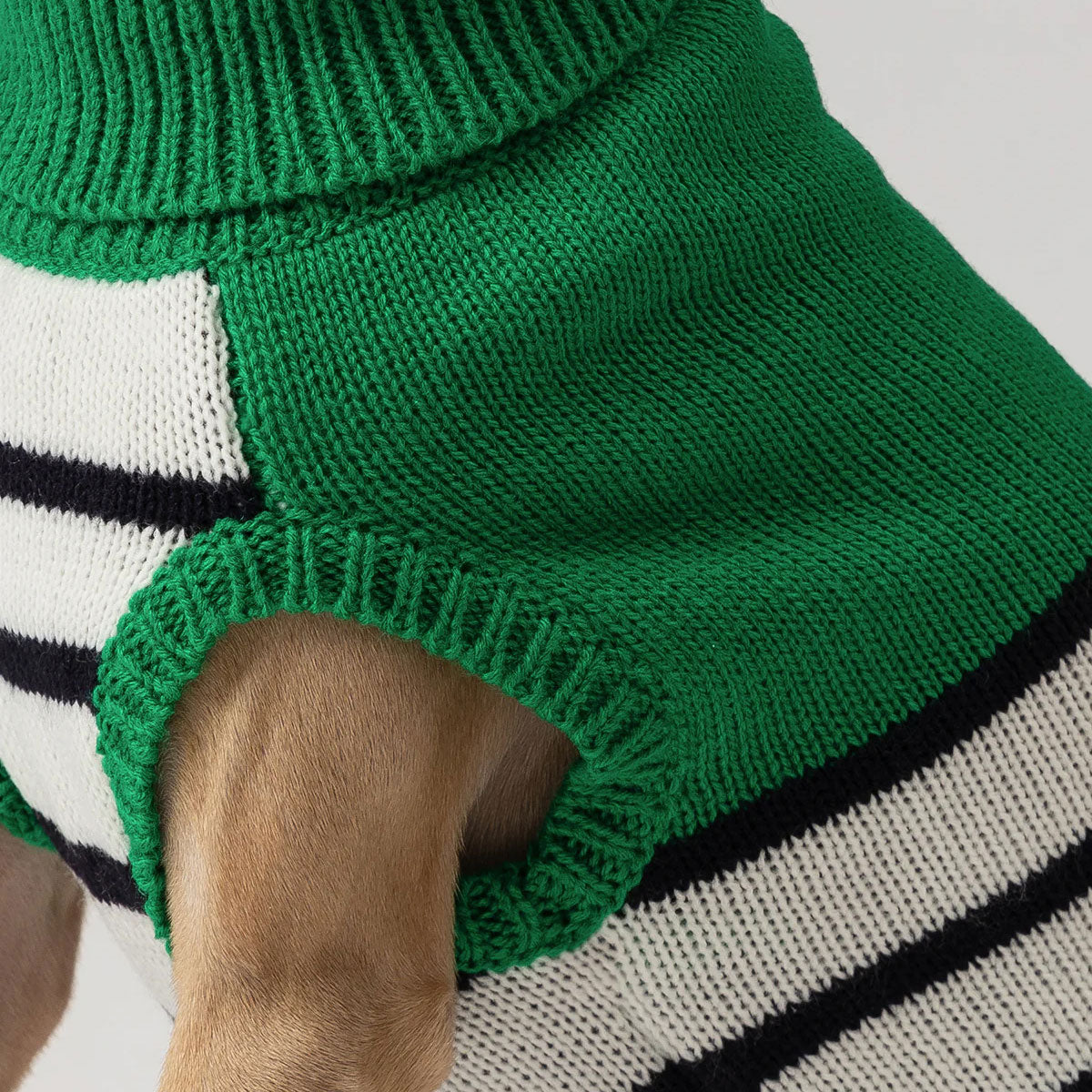 A dog's leg protruding from a hole in a green and white striped sweater.