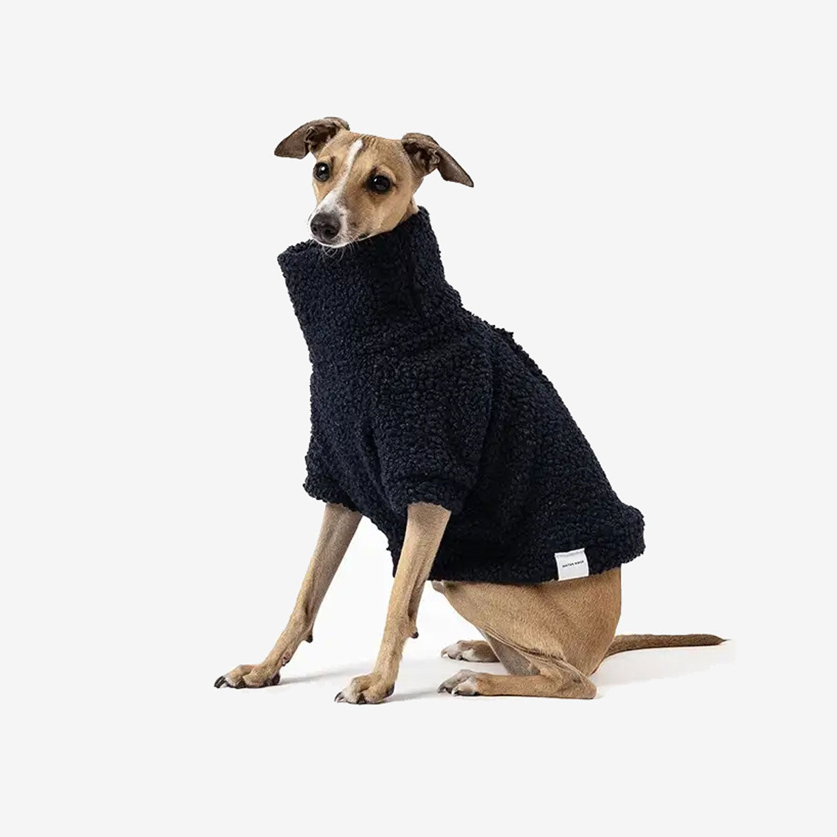 A dog in a dark navy blue cozy sweater seated against a white background.