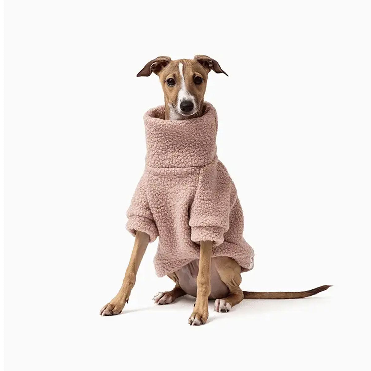 A stylish greyhound wearing a cozy, oversized blush-coloured fleece sweater, sitting elegantly against a plain white background.