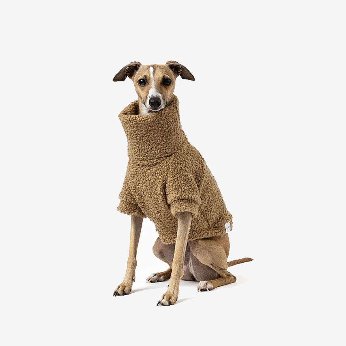 A dog wearing a cozy beige jumper sits against a white background.