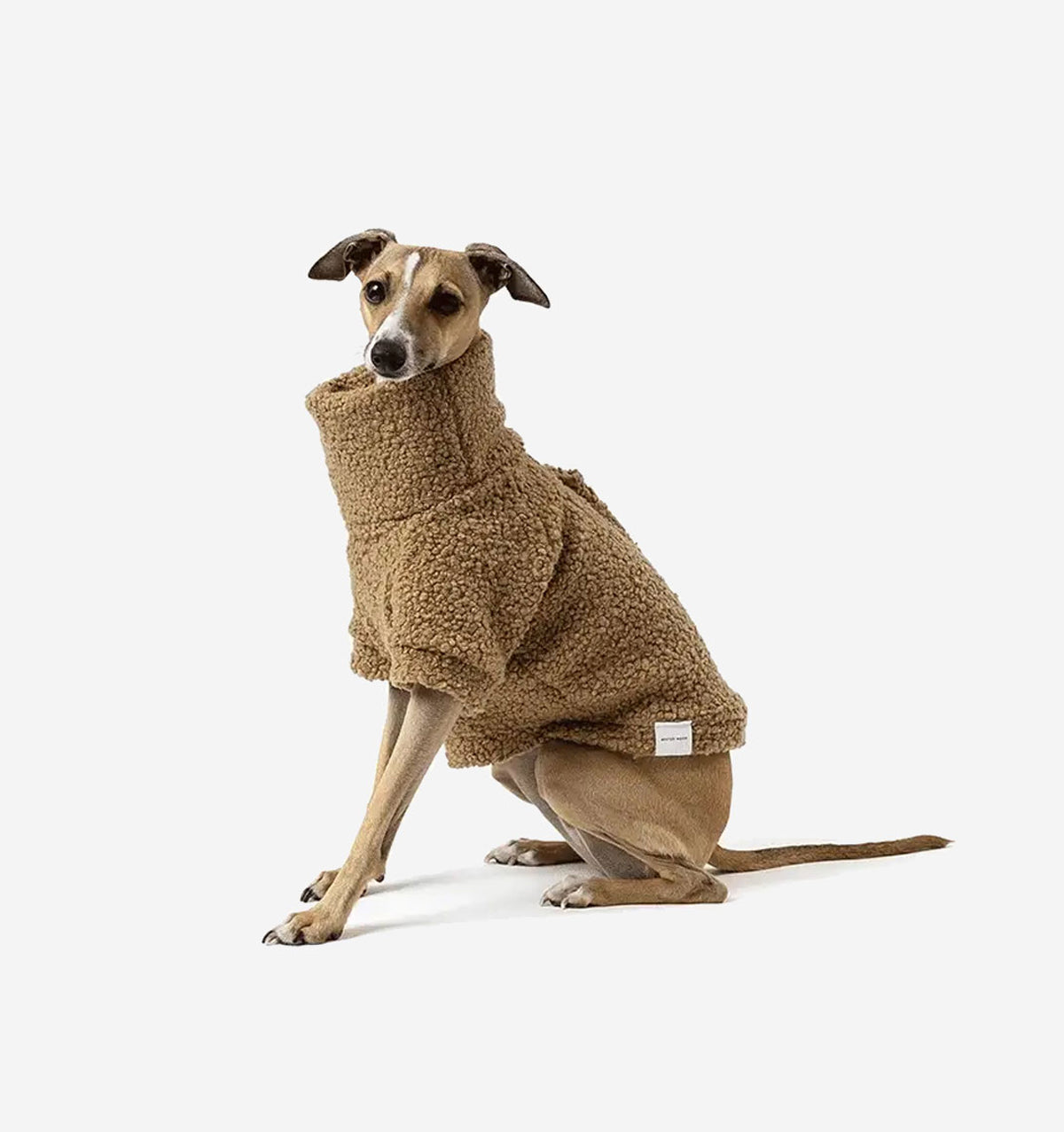 A dog wearing a cozy beige jumper sits against a white background.