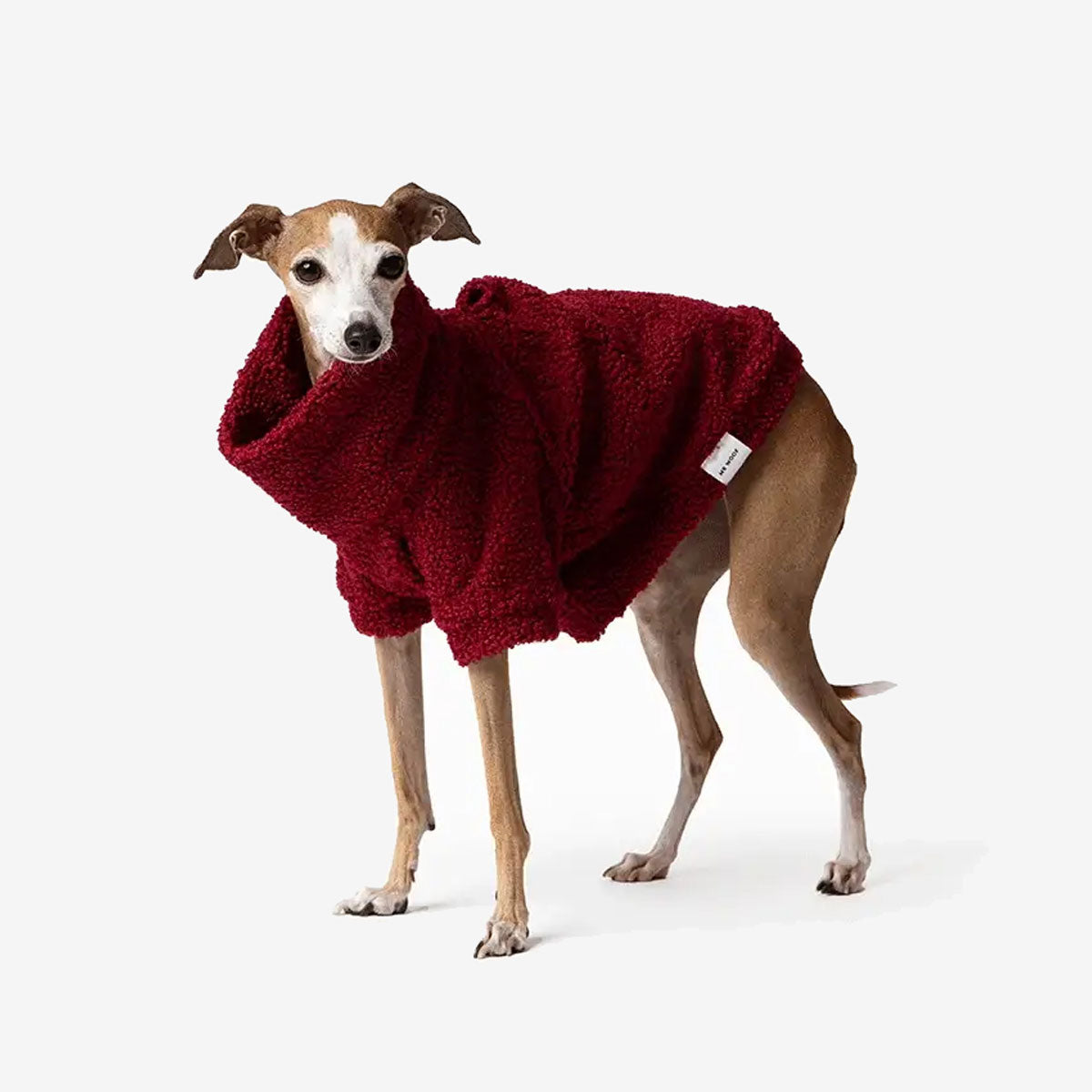 A dog wearing a cozy, burgundy fleece poncho stands against a minimalistic white background, showcasing comfort and style.