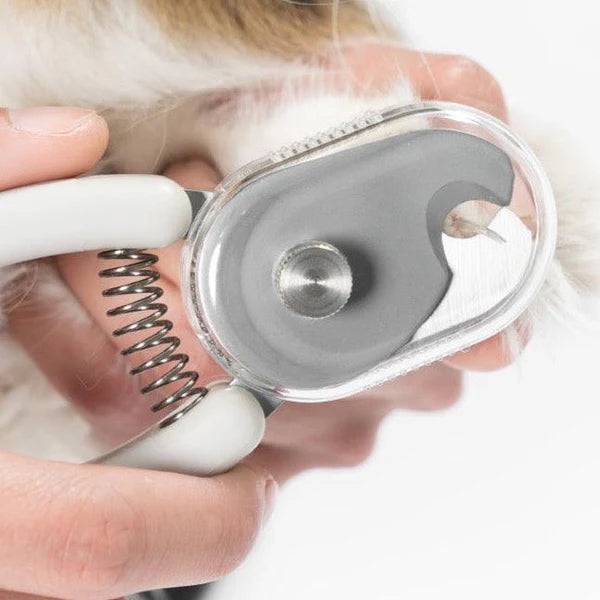 A close-up of a hand holding pet clippers to a dogs paw.